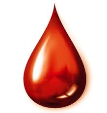 akcja-honorowego-krwiodawstwa-listopad-2023