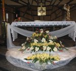 foto46