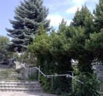 foto3