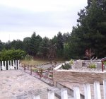 foto45
