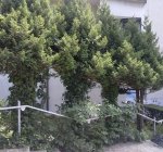 foto7