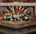 foto42