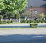 foto8