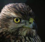 wycieczka24