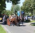 dozynkimiejskiekosztowy8