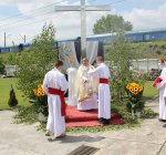 bozecialo29